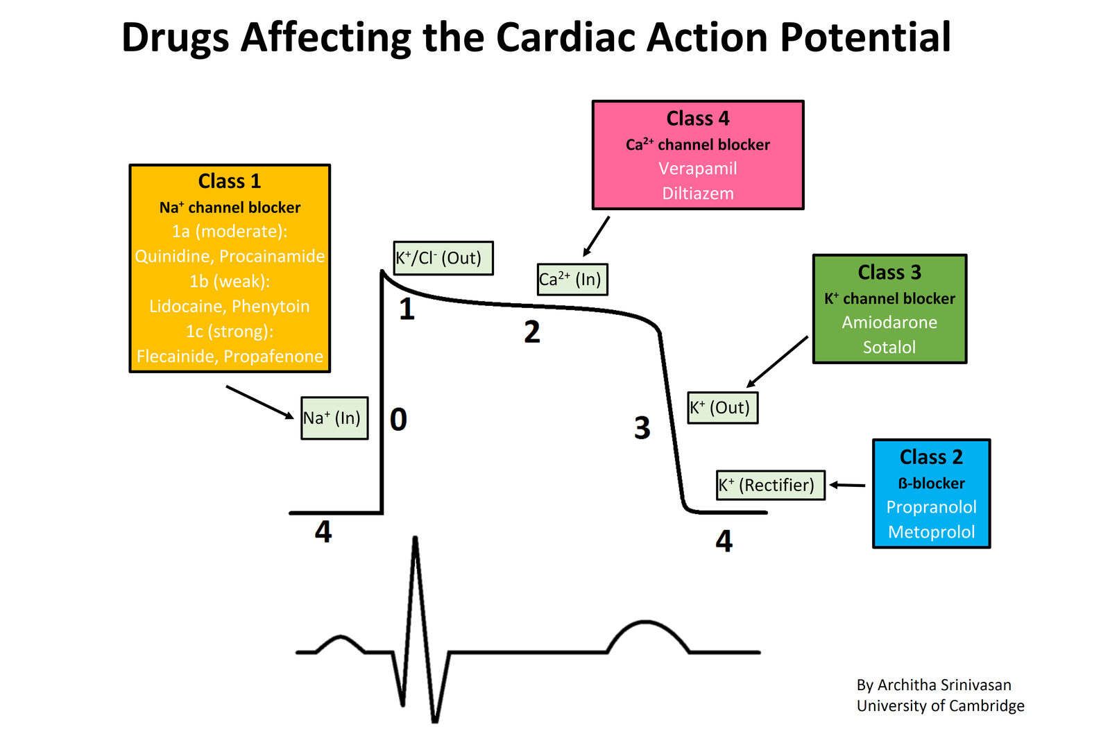 Anti Arrythmics Drugs - MOA, Classification and Uses | Medical Junction