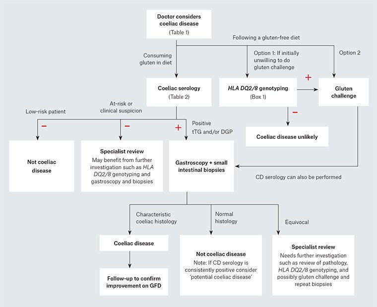 RACGP - Interpreting tests for coeliac disease