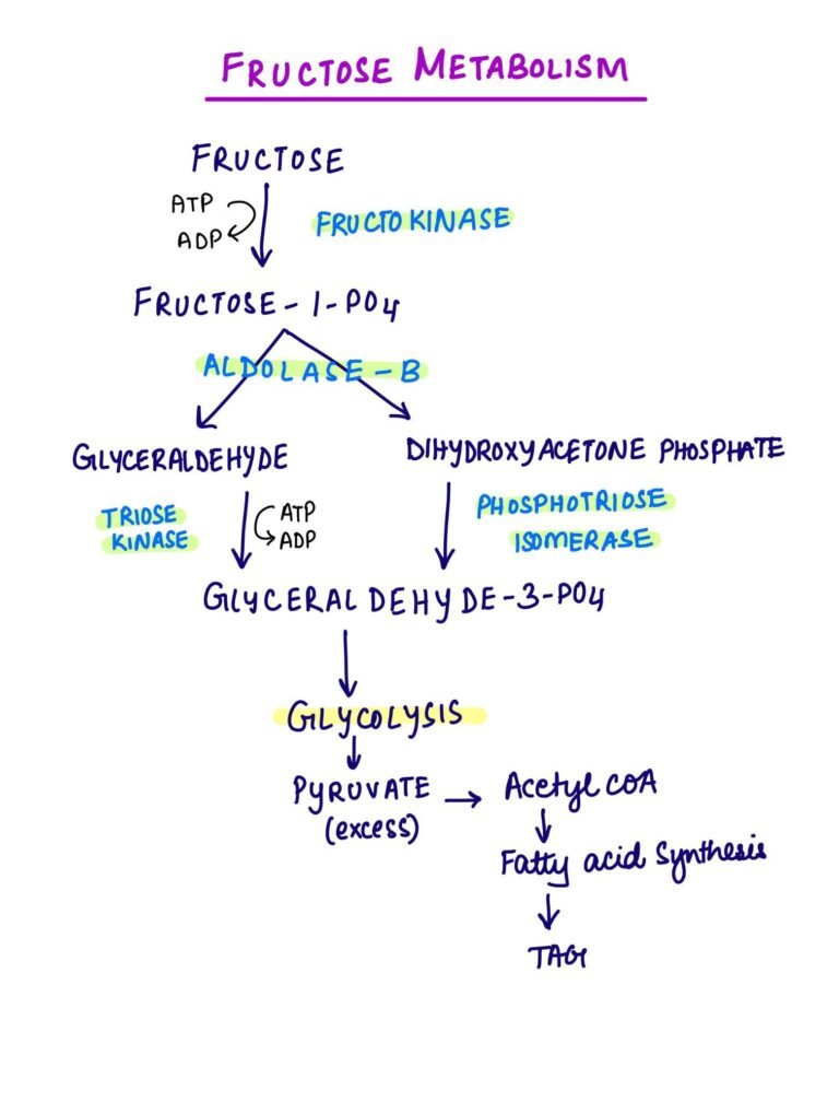 hereditary-fructose-intolerance-medical-junction